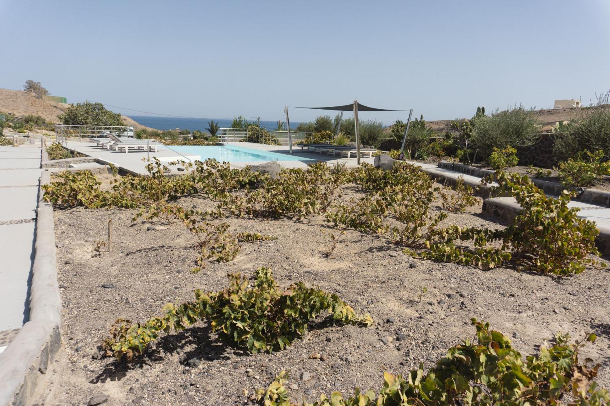 Villas Scirocco Fira  Exteriér fotografie